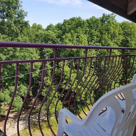 Rose 普里莫尔斯科