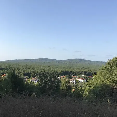 Rose 3* بريمورسكو