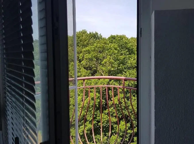 Rose Πριμόρσκο