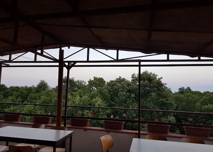 Rose Πανσιόν Πριμόρσκο