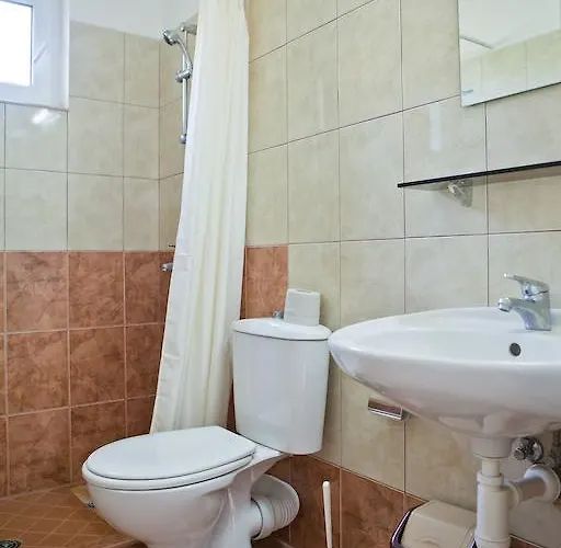 Rose Πριμόρσκο