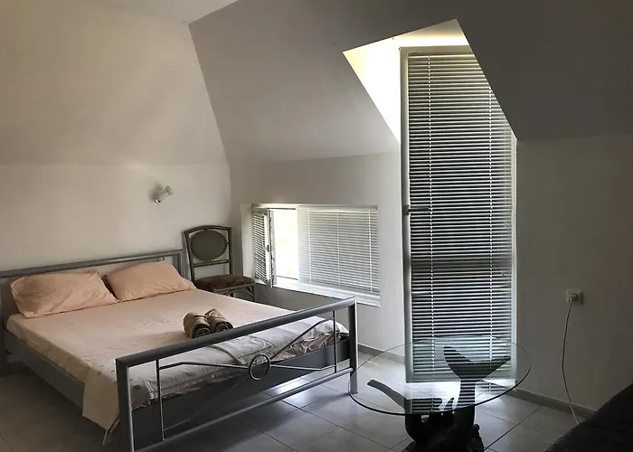 Rose Pensiune Primorsko