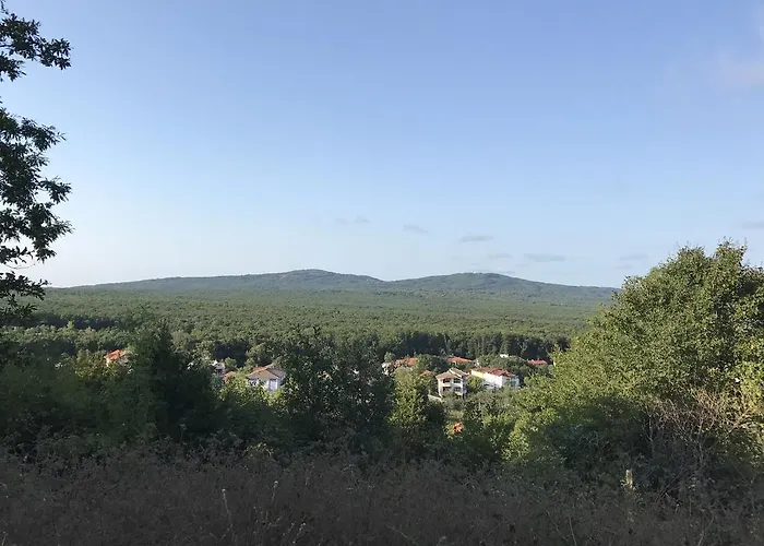 Rose 3* Πριμόρσκο