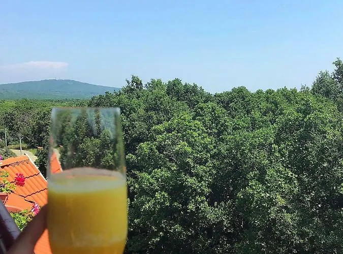 Rose Πανσιόν Πριμόρσκο